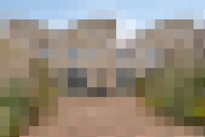 Patronaatstraat 14 Made thumbnail 38