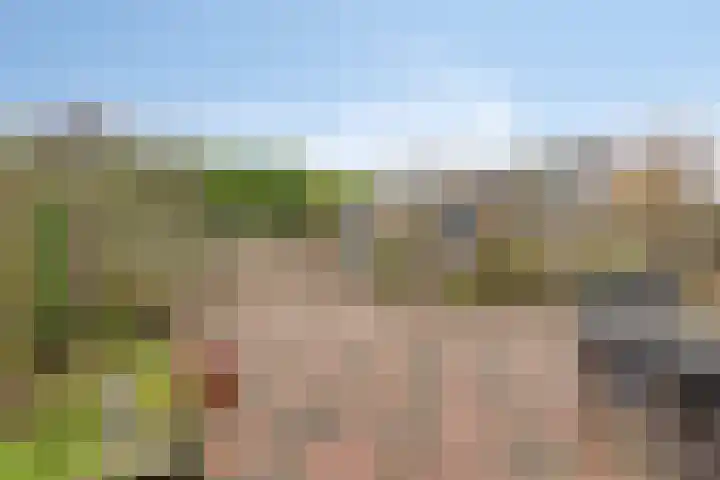 Patronaatstraat 14 Made thumbnail 39