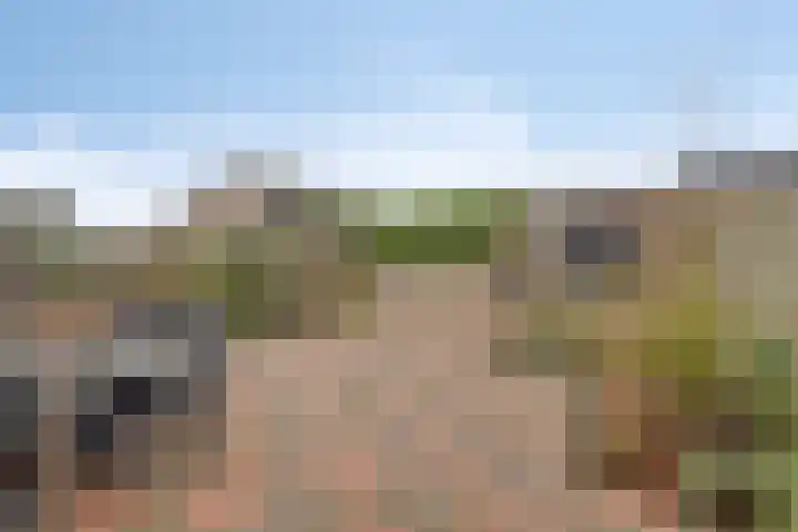 Patronaatstraat 14 Made thumbnail 41