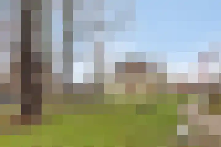 Patronaatstraat 14 Made thumbnail 42