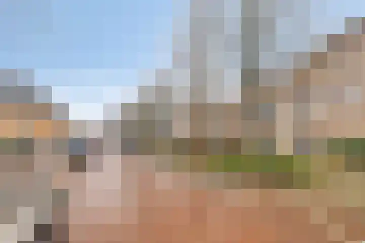 Patronaatstraat 14 Made thumbnail 5