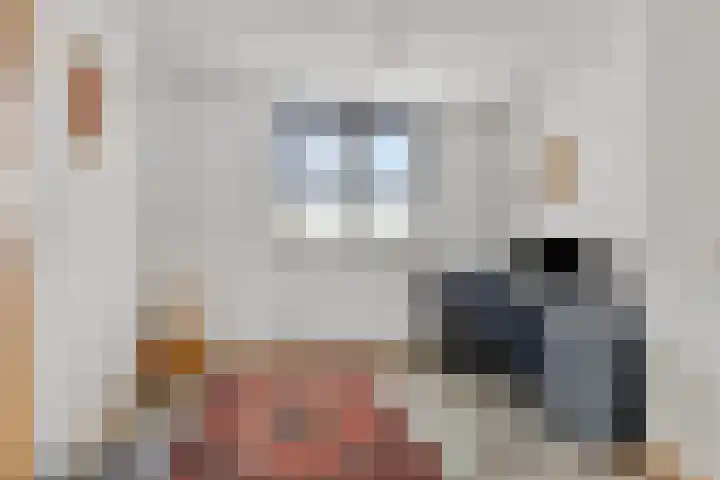 Patronaatstraat 14 Made thumbnail 8