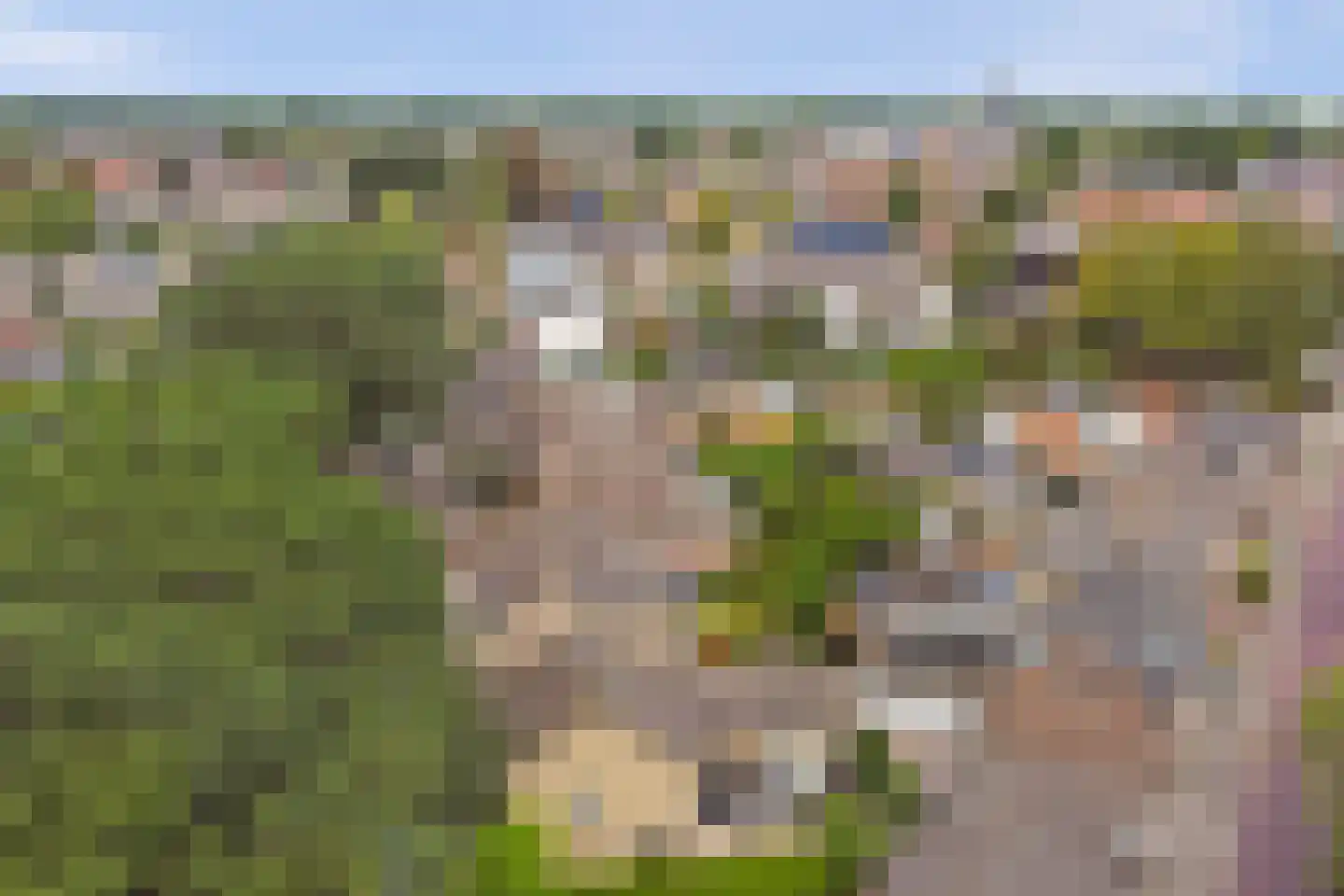 Patronaatstraat 25 C Made thumbnail 59