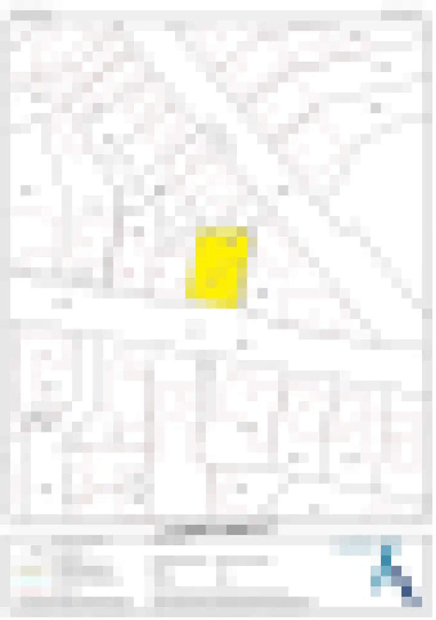 Patronaatstraat 25 C Made thumbnail 73
