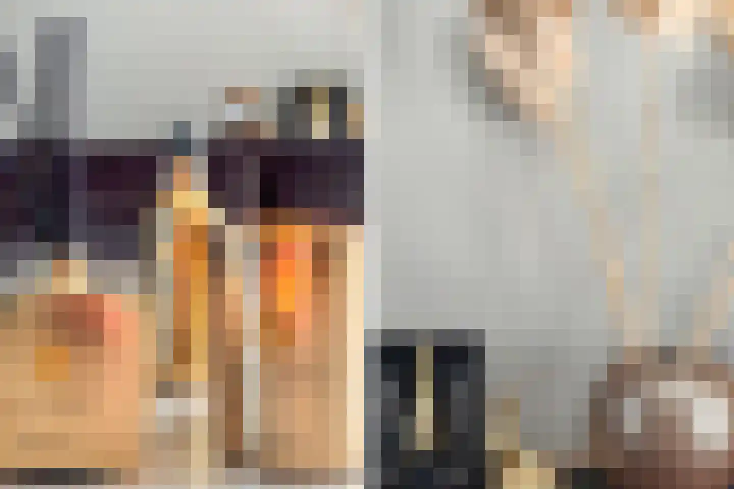 Patronaatstraat 3 Etten-Leur thumbnail 11