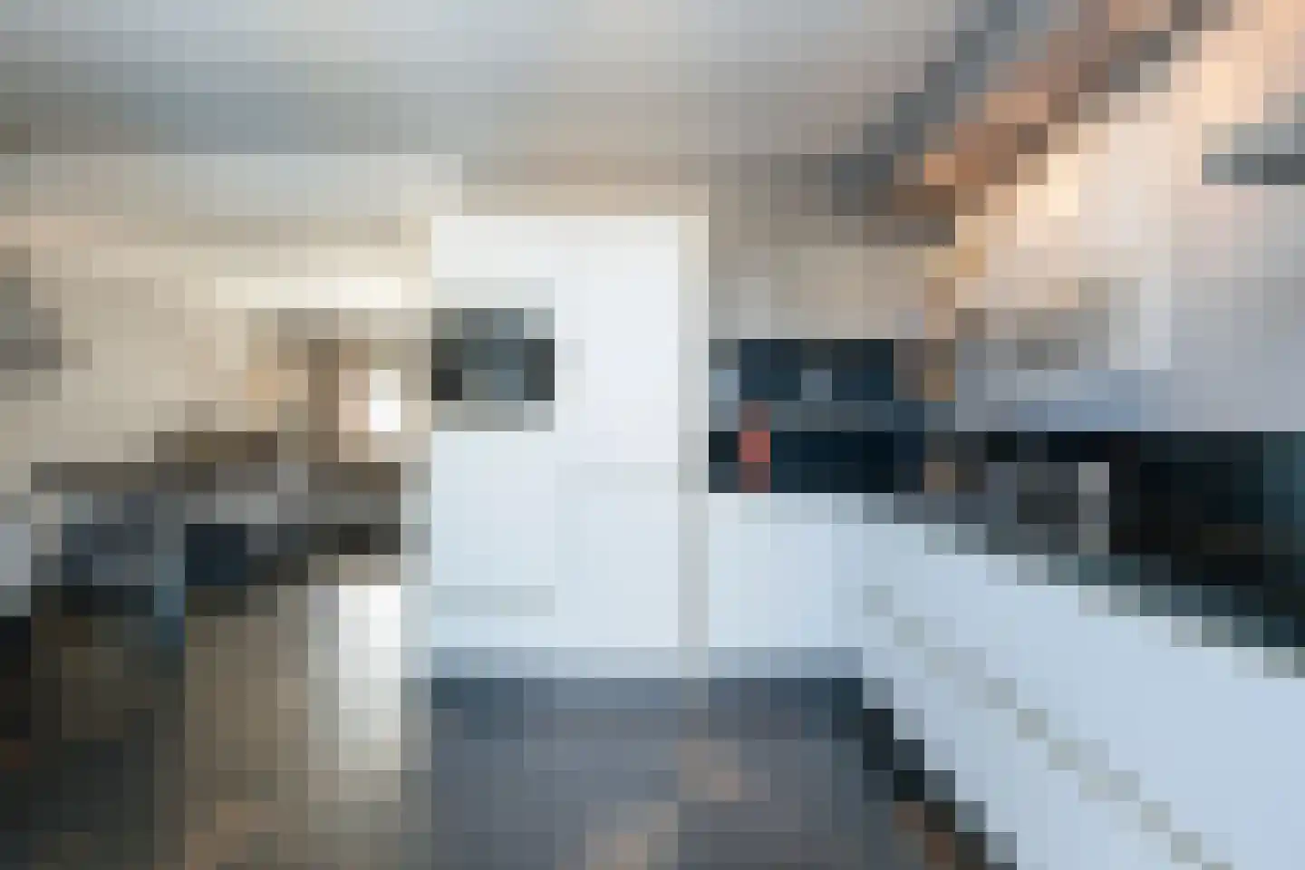 Patronaatstraat 3 Etten-Leur thumbnail 17