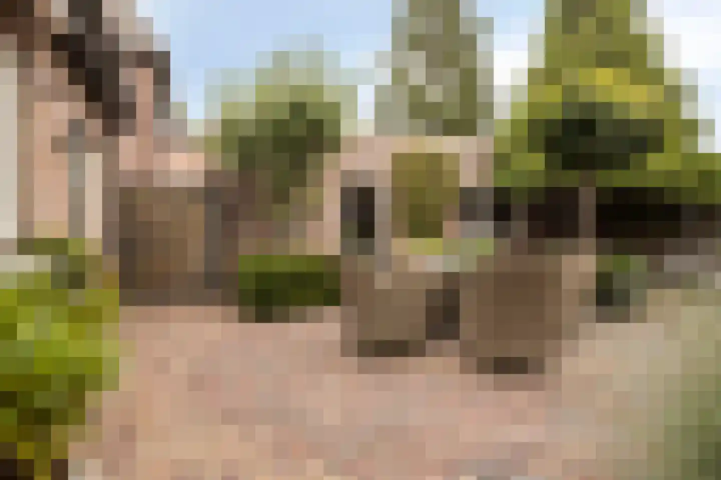Patronaatstraat 48 Made thumbnail 30