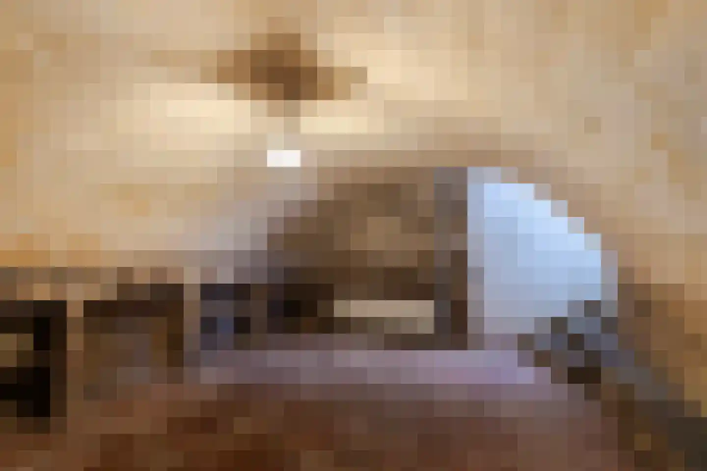 Patronaatstraat 5 Bunde thumbnail 14