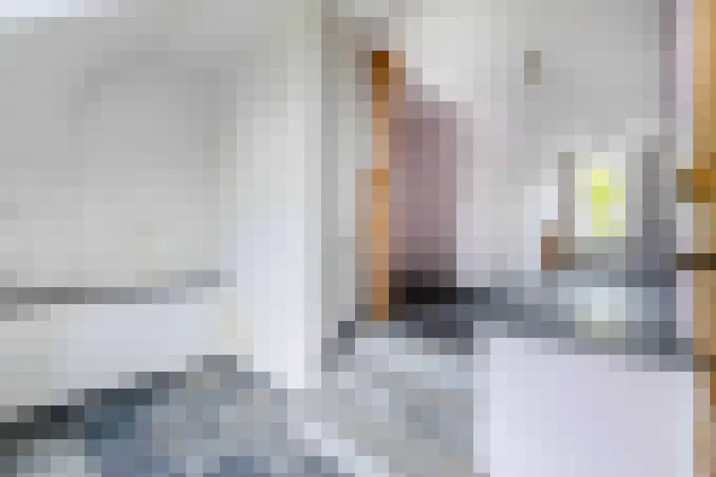 Patronaatstraat 5 Bunde thumbnail 16