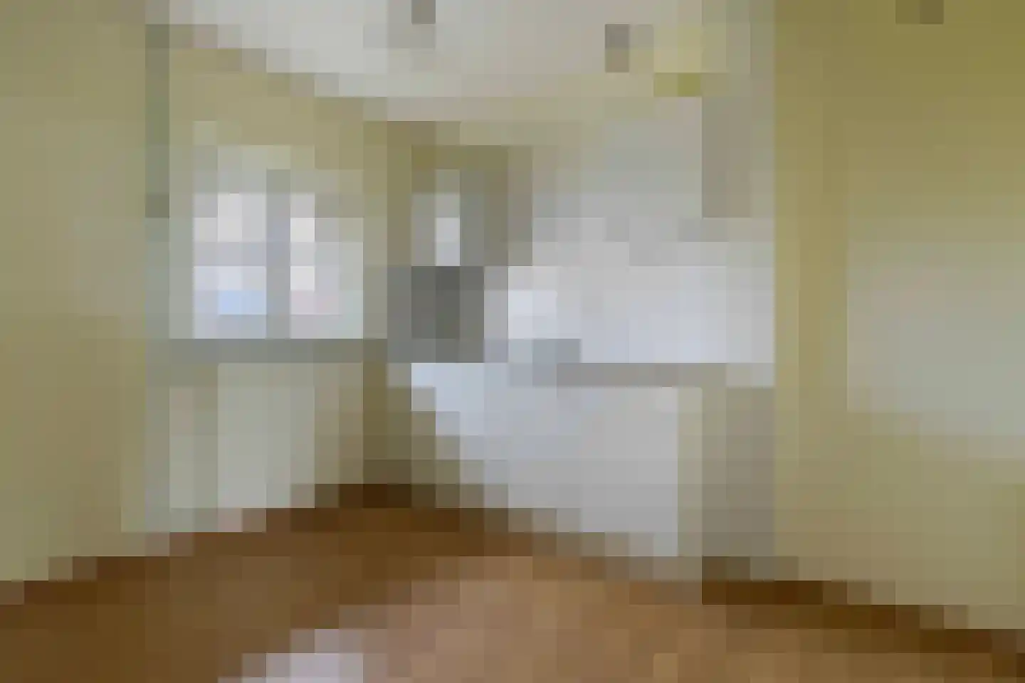 Patronaatstraat 5 Bunde thumbnail 24