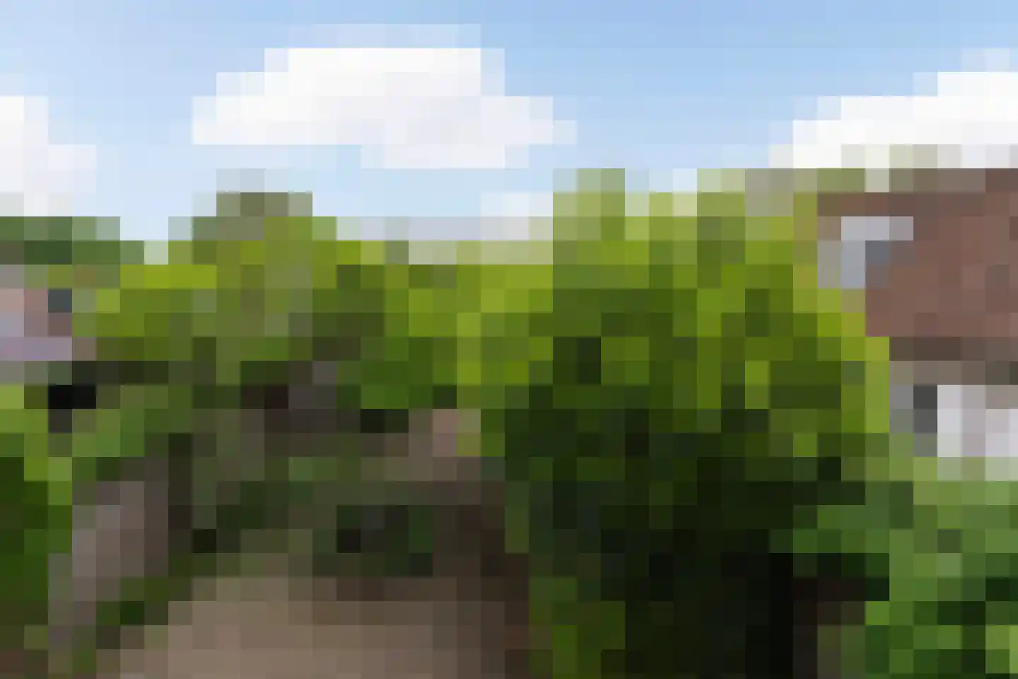 Patronaatstraat 5 Bunde thumbnail 29
