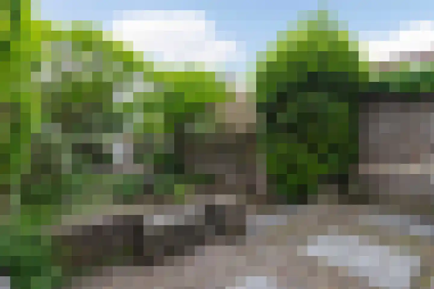 Patronaatstraat 5 Bunde thumbnail 30
