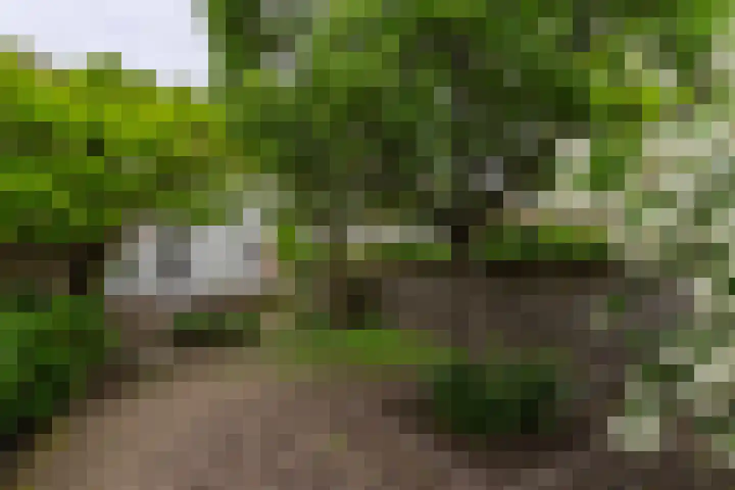 Patronaatstraat 5 Bunde thumbnail 32