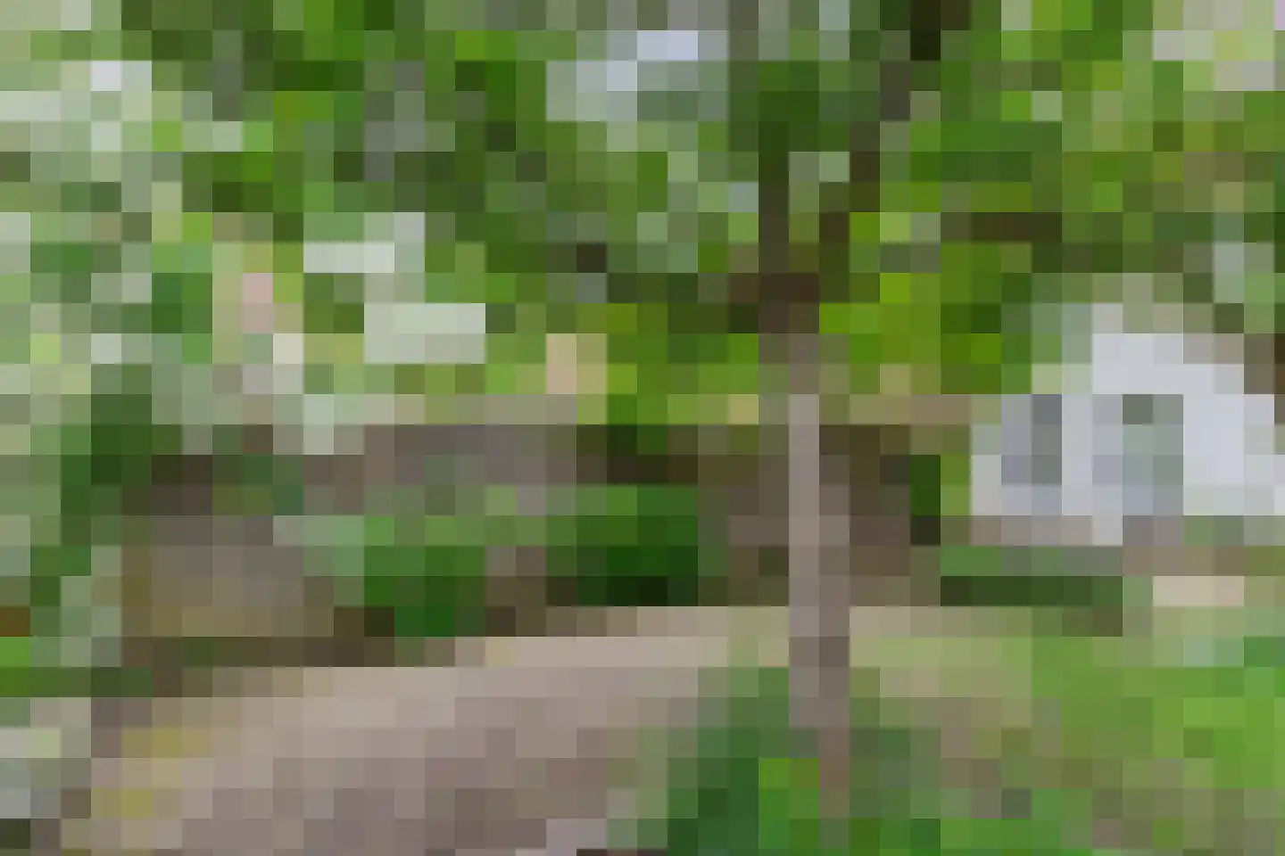 Patronaatstraat 5 Bunde thumbnail 33