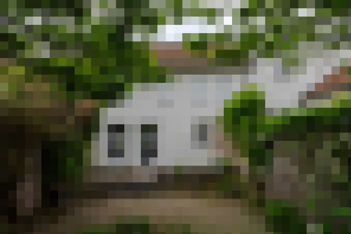 Patronaatstraat 5 Bunde thumbnail 34