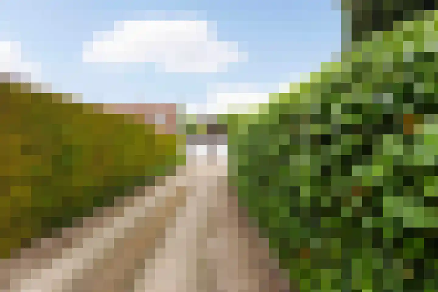 Patronaatstraat 5 Bunde thumbnail 35