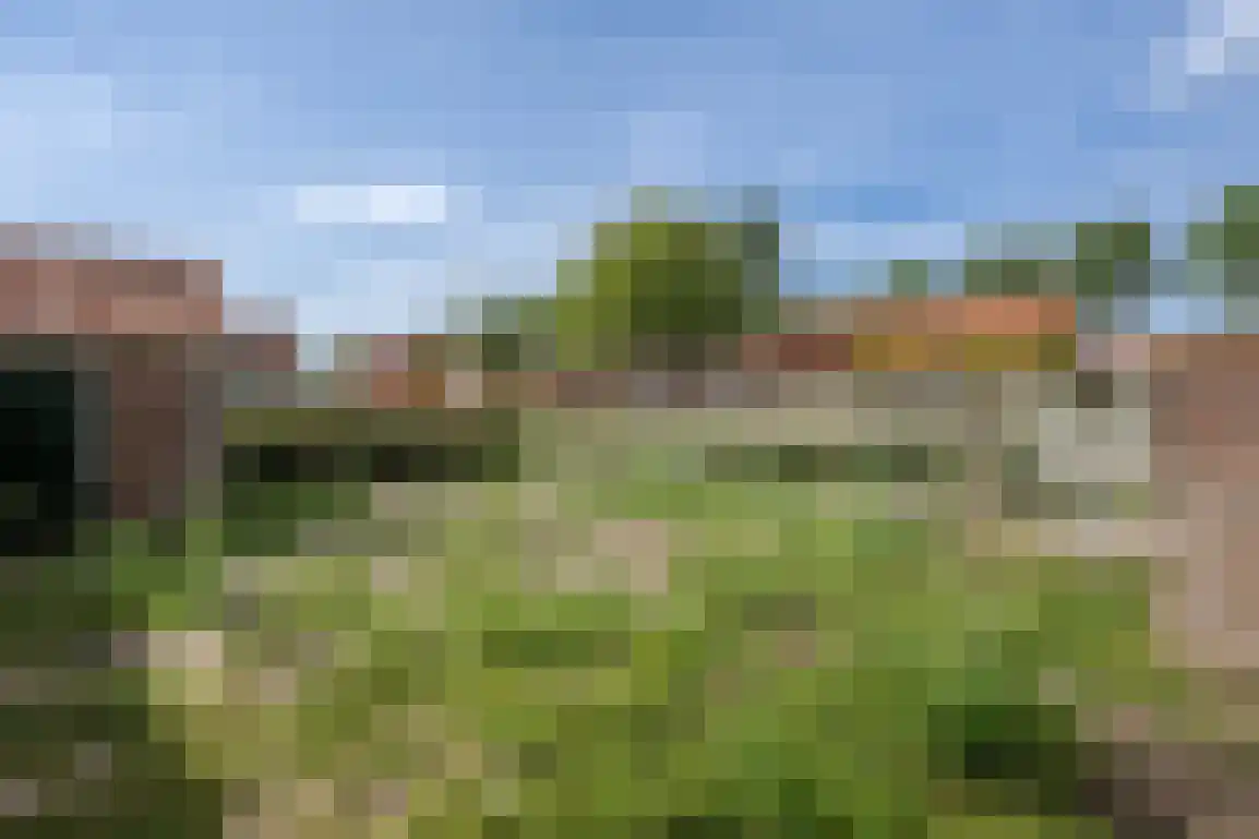 Patronaatstraat 7 Achthuizen thumbnail 22