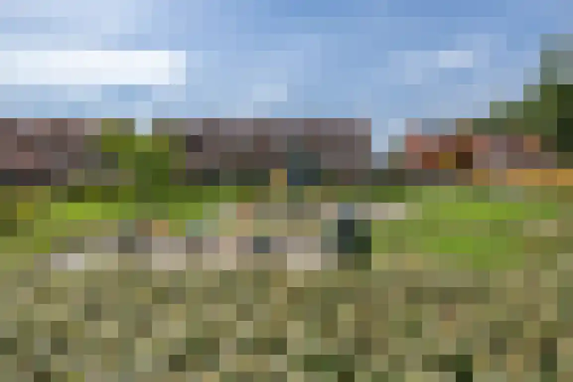 Patronaatstraat 7 Achthuizen thumbnail 23