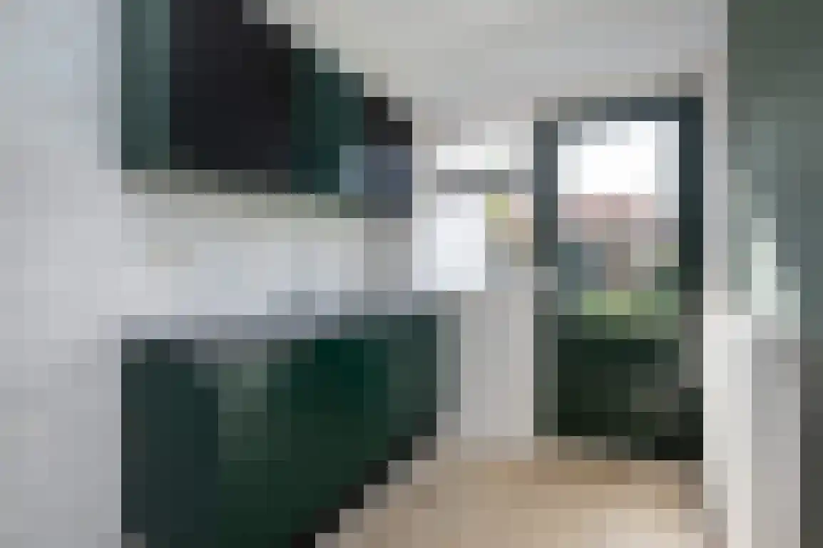Patronaatstraat 7 Achthuizen thumbnail 9