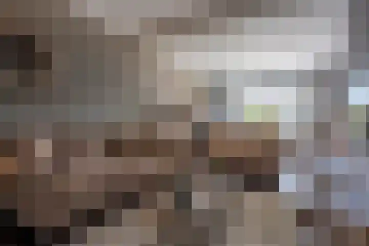 Patronaatstraat 98 Kerkrade thumbnail 6