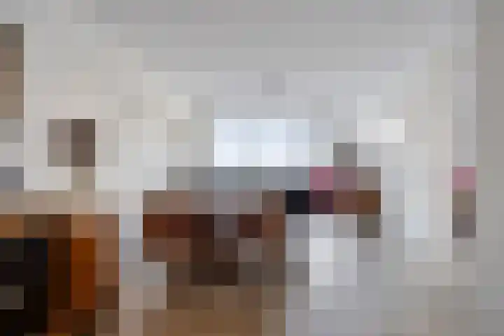 Pattistpark 142 Terneuzen thumbnail 12