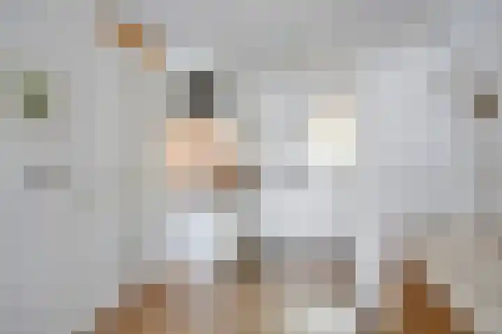Pattistpark 142 Terneuzen thumbnail 15