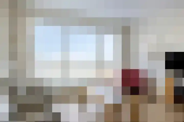Pattistpark 142 Terneuzen thumbnail 17