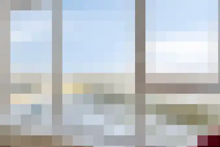 Pattistpark 142 Terneuzen thumbnail 18