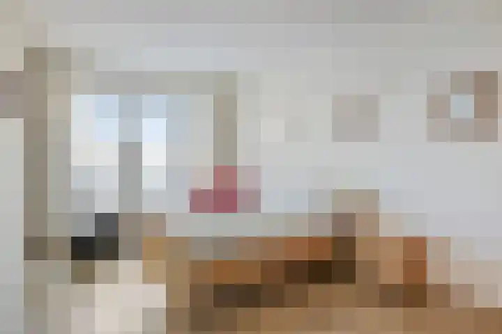 Pattistpark 142 Terneuzen thumbnail 20