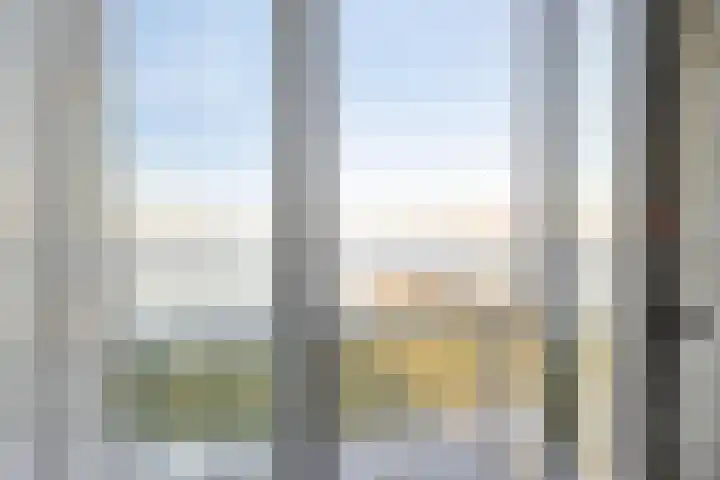 Pattistpark 142 Terneuzen thumbnail 22