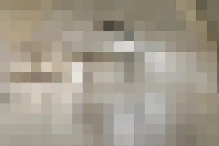 Pattistpark 142 Terneuzen thumbnail 25
