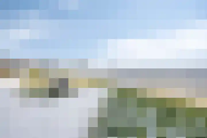 Pattistpark 142 Terneuzen thumbnail 27