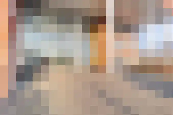 Pattistpark 142 Terneuzen thumbnail 6