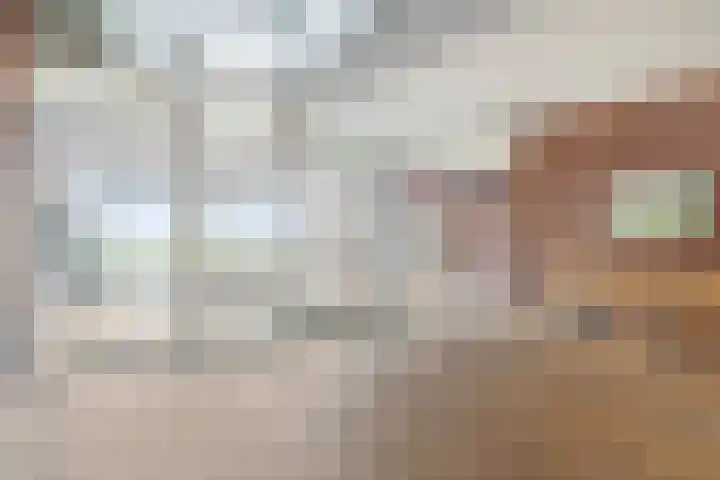 Pattistpark 142 Terneuzen thumbnail 8