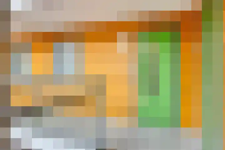 Pattistpark 142 Terneuzen thumbnail 9