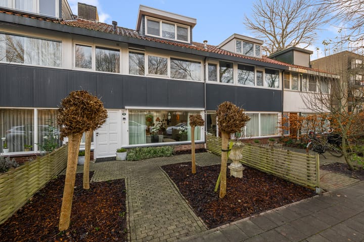 Pattistpark 163 in Terneuzen Foto