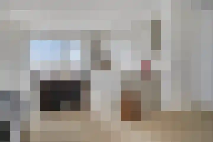 Pattistpark 163 Terneuzen thumbnail 13