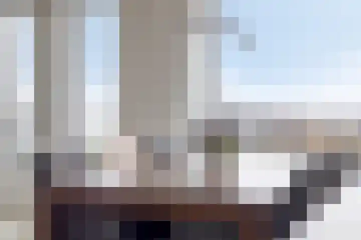 Pattistpark 163 Terneuzen thumbnail 17