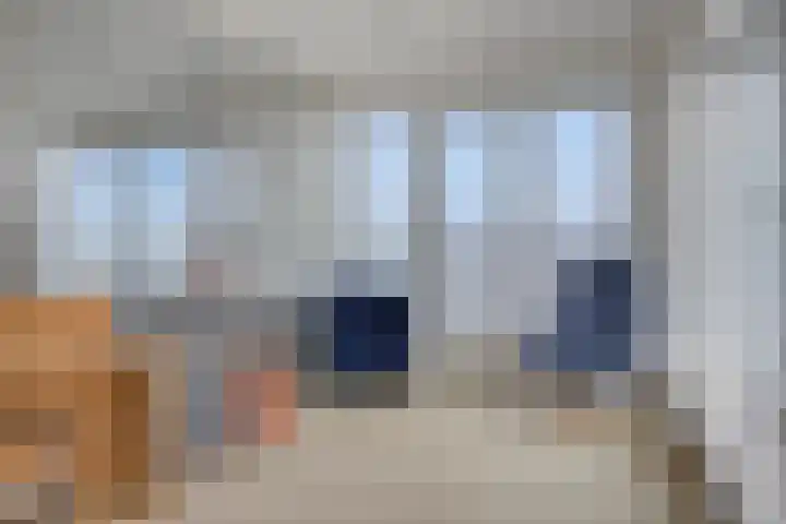 Pattistpark 163 Terneuzen thumbnail 18