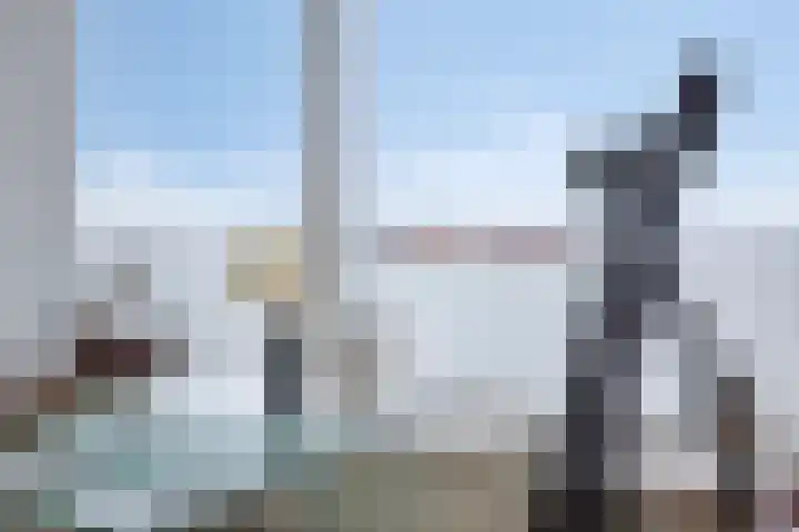 Pattistpark 163 Terneuzen thumbnail 27