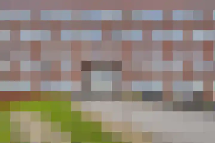 Pattistpark 163 Terneuzen thumbnail 5