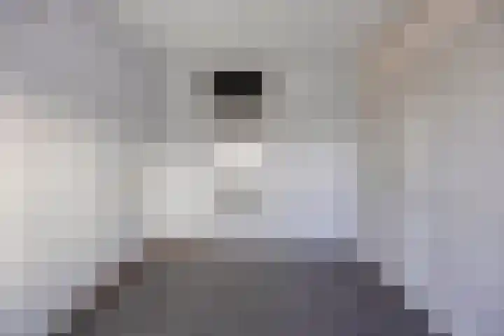 Paukenlaan 113 Dongen thumbnail 12