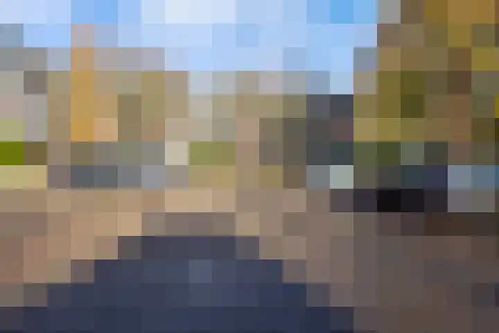 Paukenlaan 113 Dongen thumbnail 15