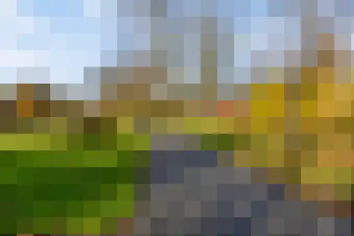 Paukenlaan 113 Dongen thumbnail 16