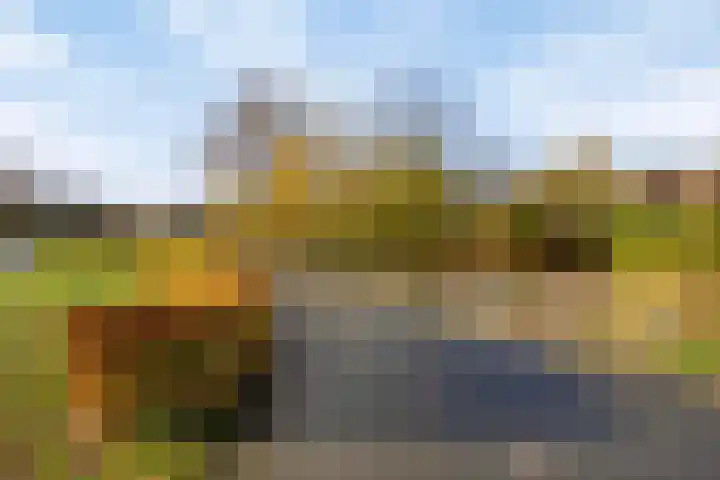 Paukenlaan 113 Dongen thumbnail 17