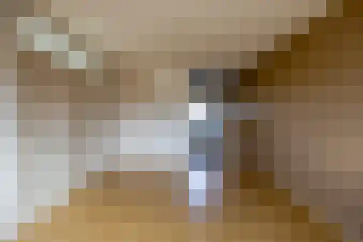 Paukenlaan 113 Dongen thumbnail 8