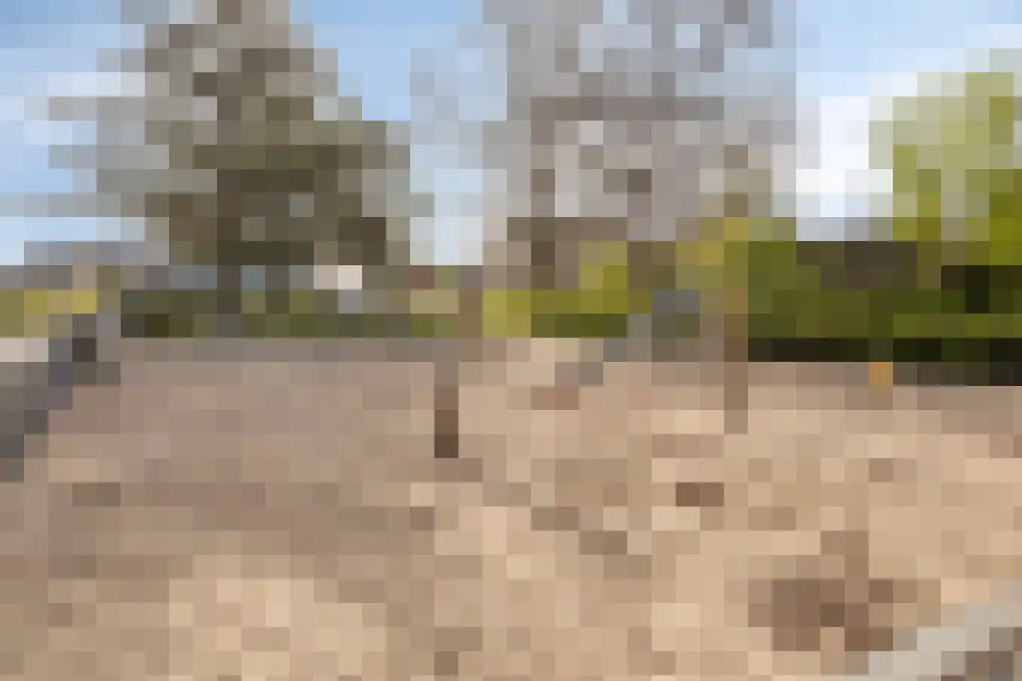 Paukenlaan 117 Dongen thumbnail 28