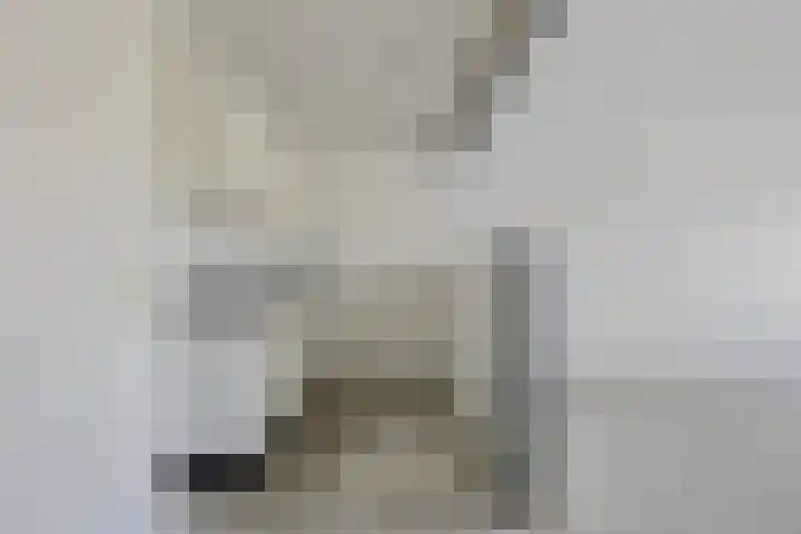 Paukenlaan 121 Dongen thumbnail 17