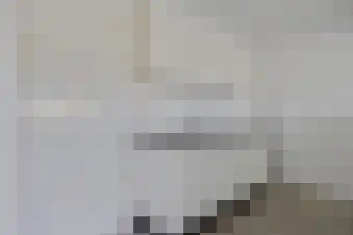 Paukenlaan 121 Dongen thumbnail 19