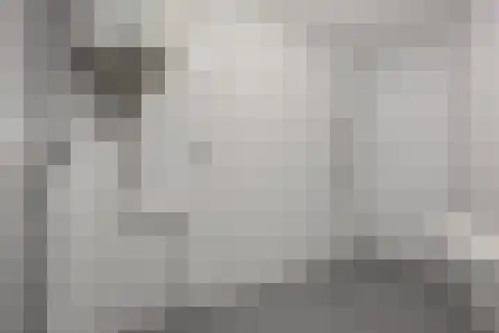 Paukenlaan 121 Dongen thumbnail 22